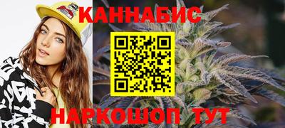 сатива Малгобек