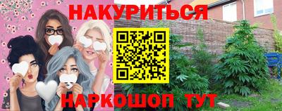 сатива Малгобек