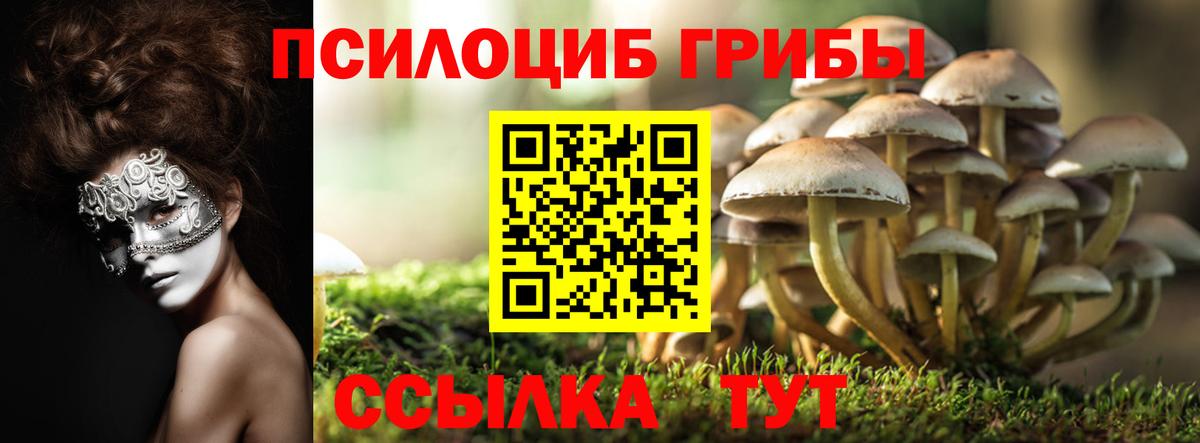 Галлюциногенные грибы мухоморы Добрянка