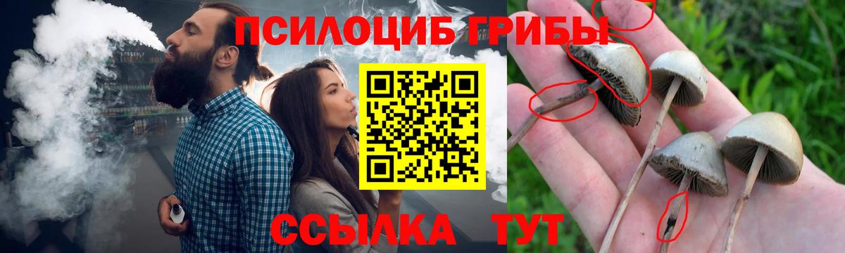 Галлюциногенные грибы прущие грибы  Галлюциногенные грибы Psilocybine cubensis  Вход с VPN  Добрянка 